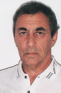Виктор Ильич Варшавский (1933-2005). 